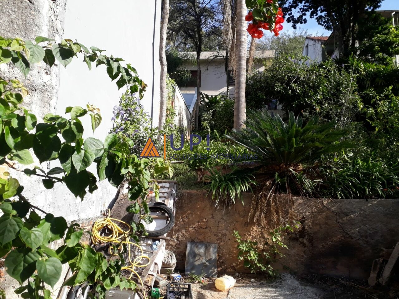 Terreno para Venda - Horto Florestal