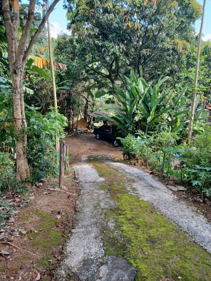 Terreno para Venda - HORTO FLORESTAL