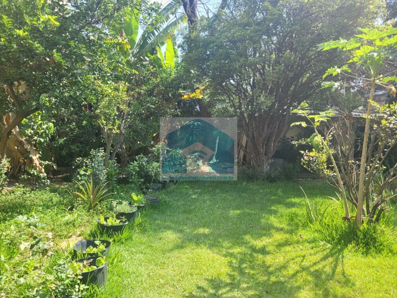 Casa Térrea para Venda - Campo Belo