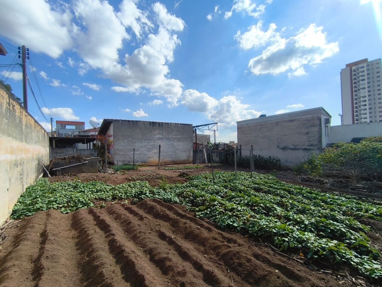 Casa Térrea para Venda - Alvinópolis