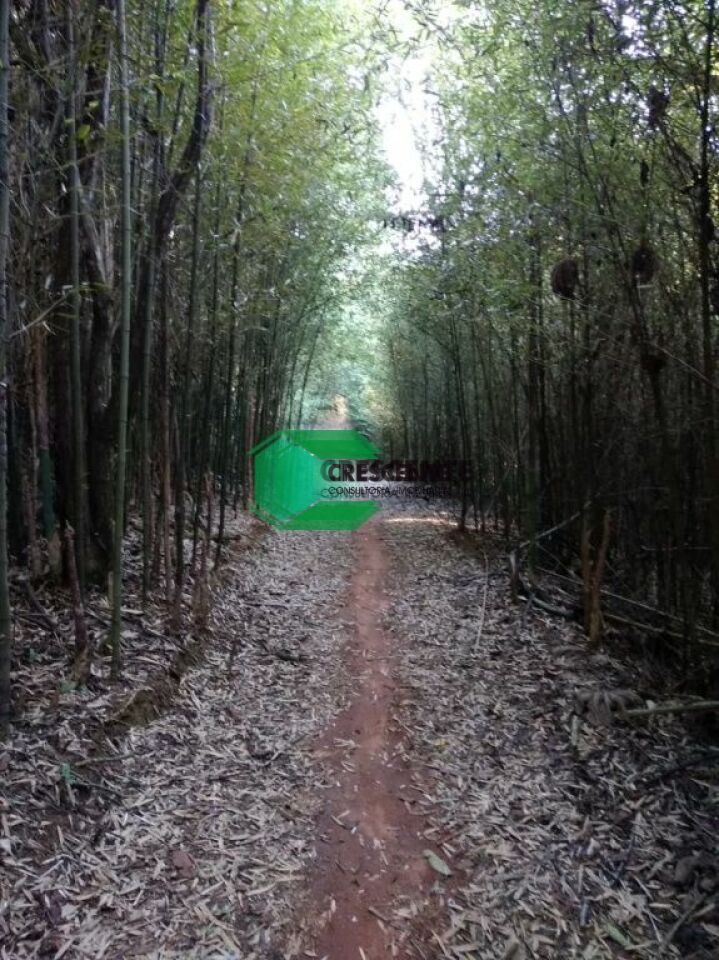 Imóvel CR2116 foto