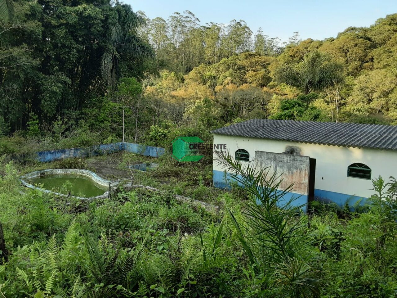Imóvel CR2329 foto