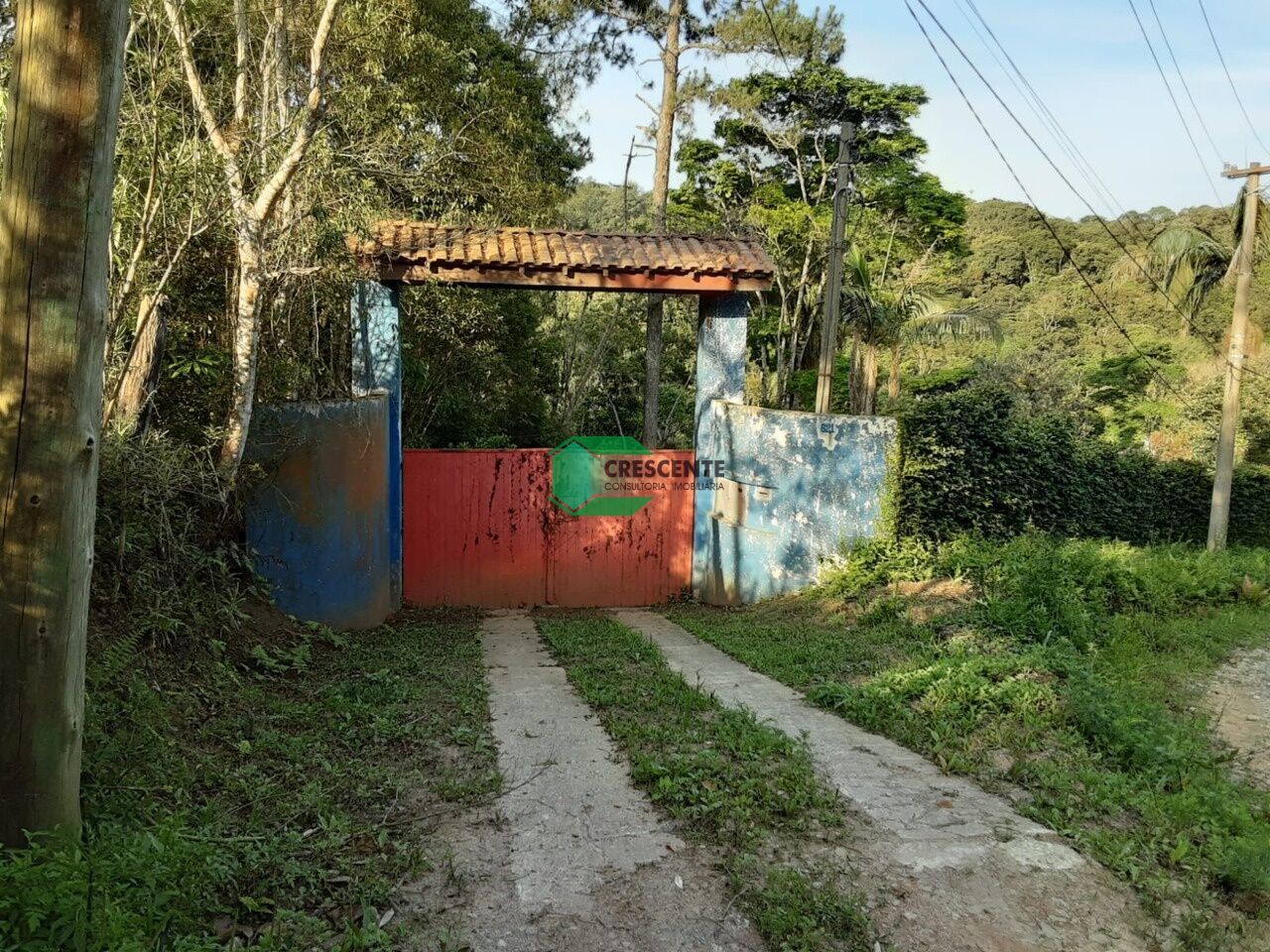 latest property