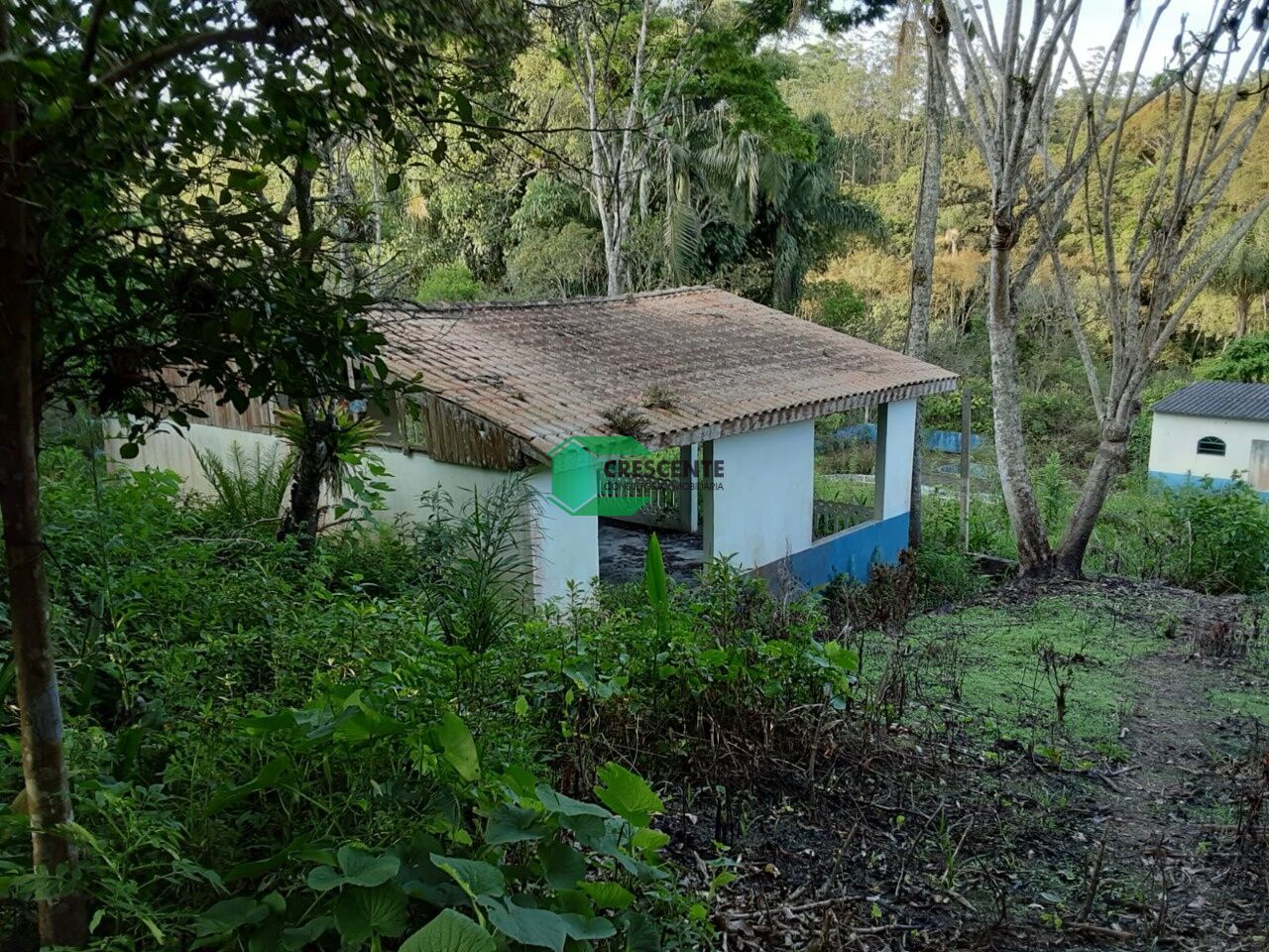 Imóvel CR2329 foto