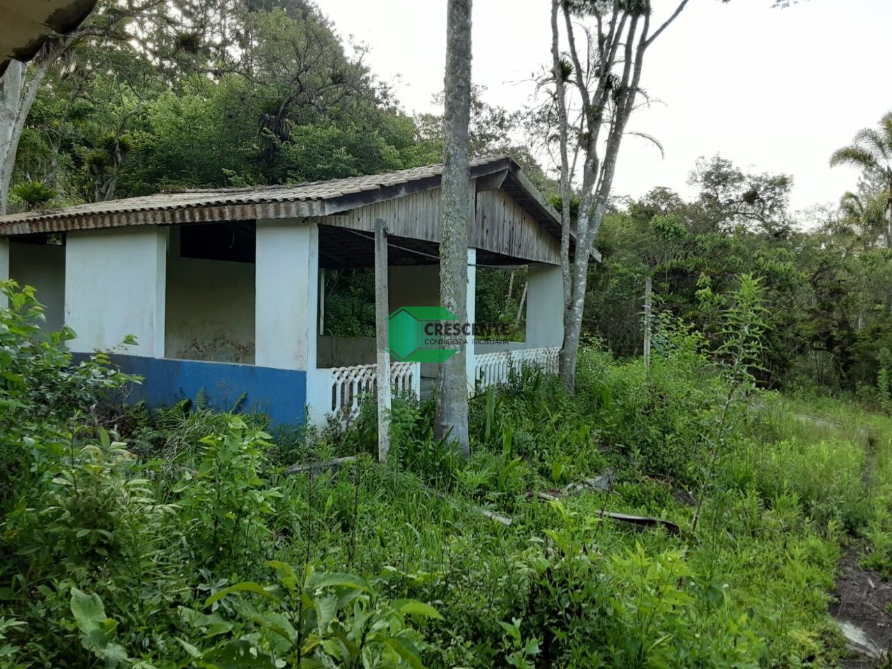 Imóvel CR2329 foto