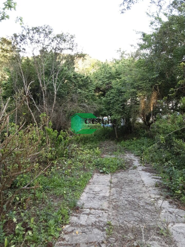 Imóvel CR2329 foto