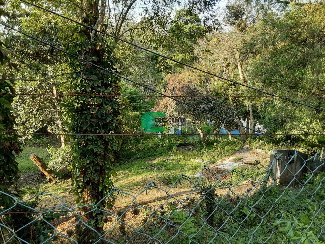 Imóvel CR2329 foto