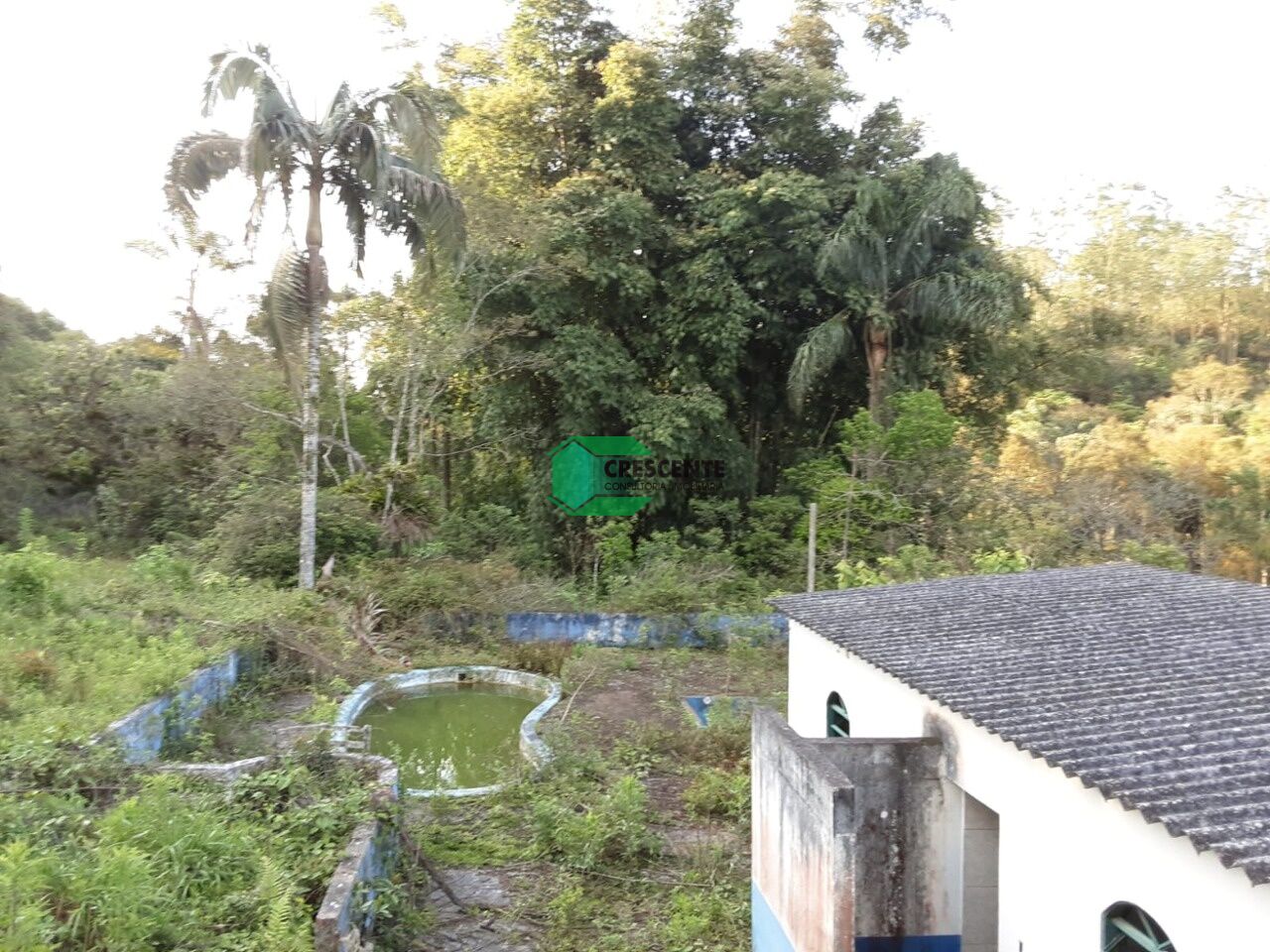 Imóvel CR2329 foto