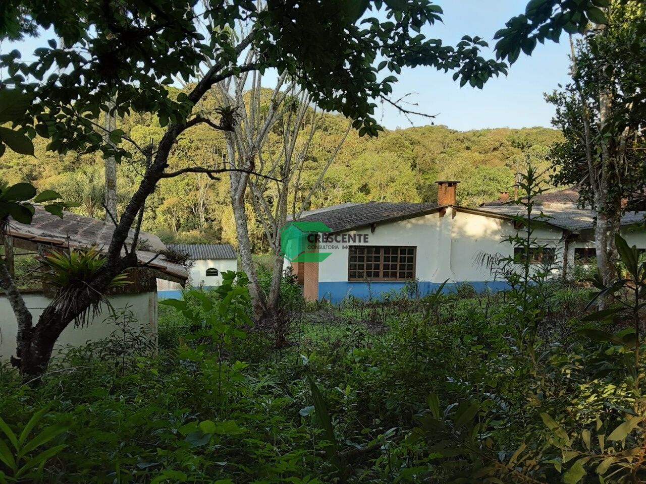 Imóvel CR2329 foto