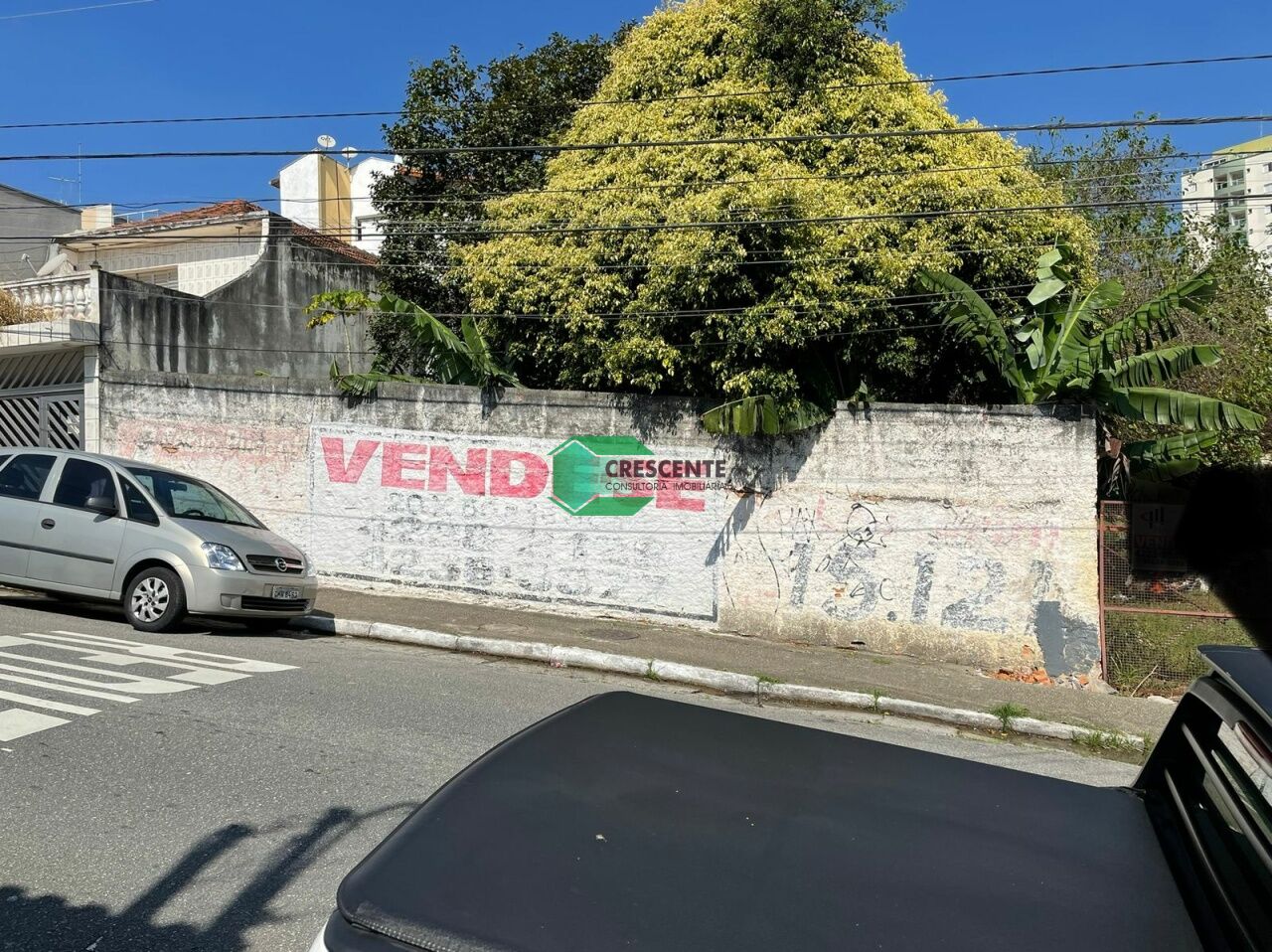 latest property