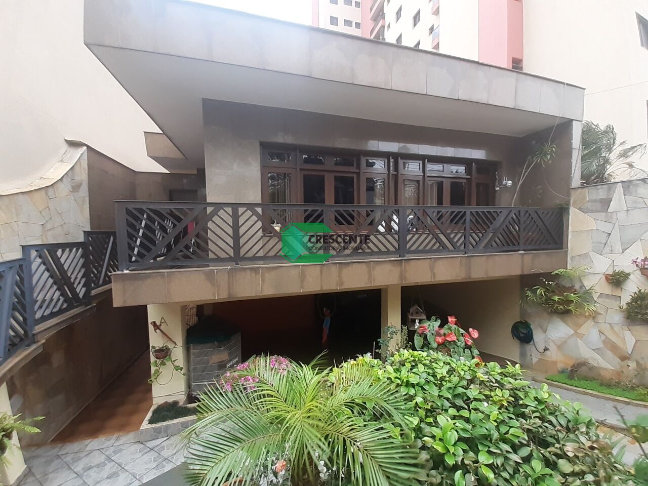 latest property