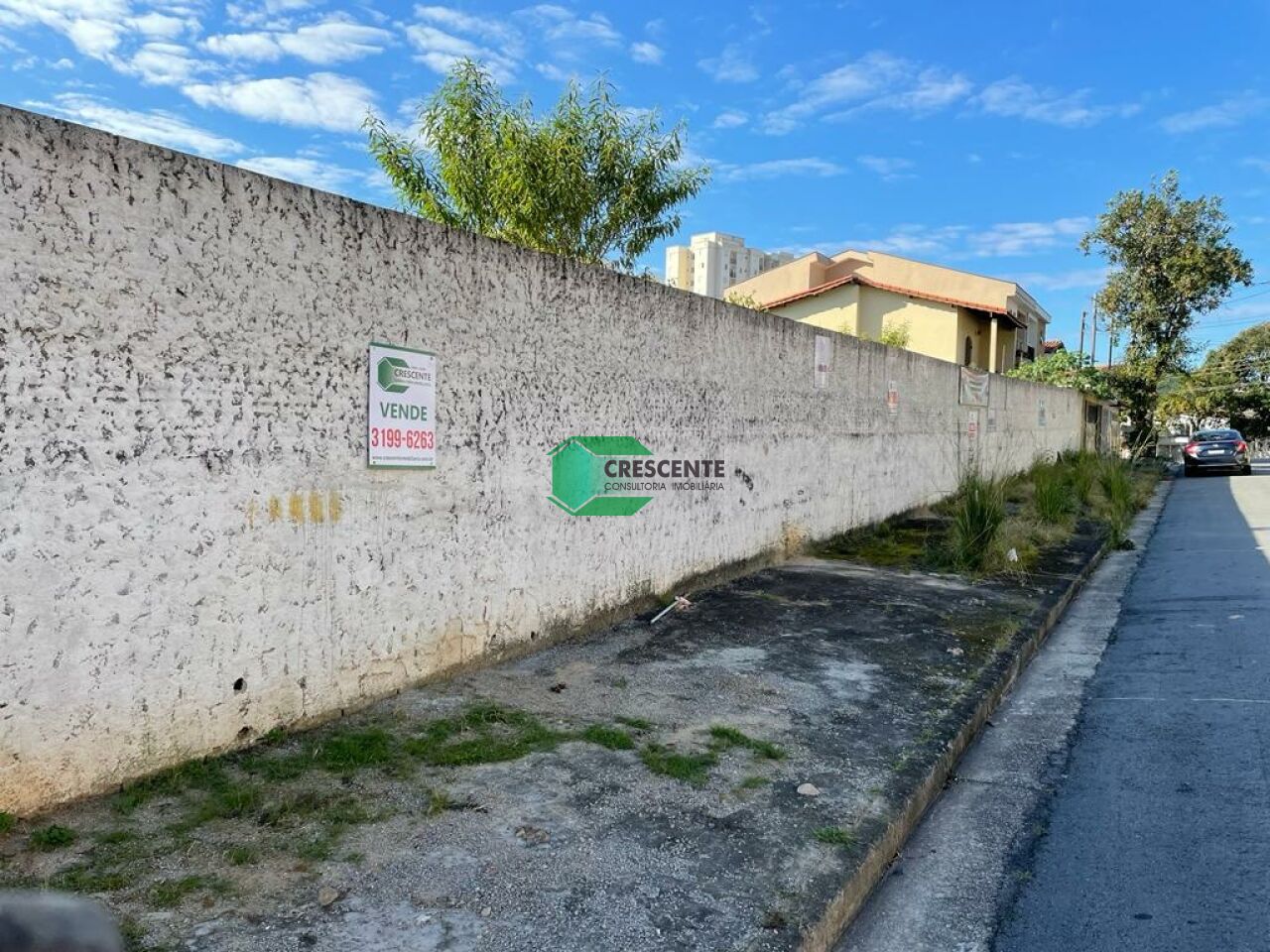 latest property