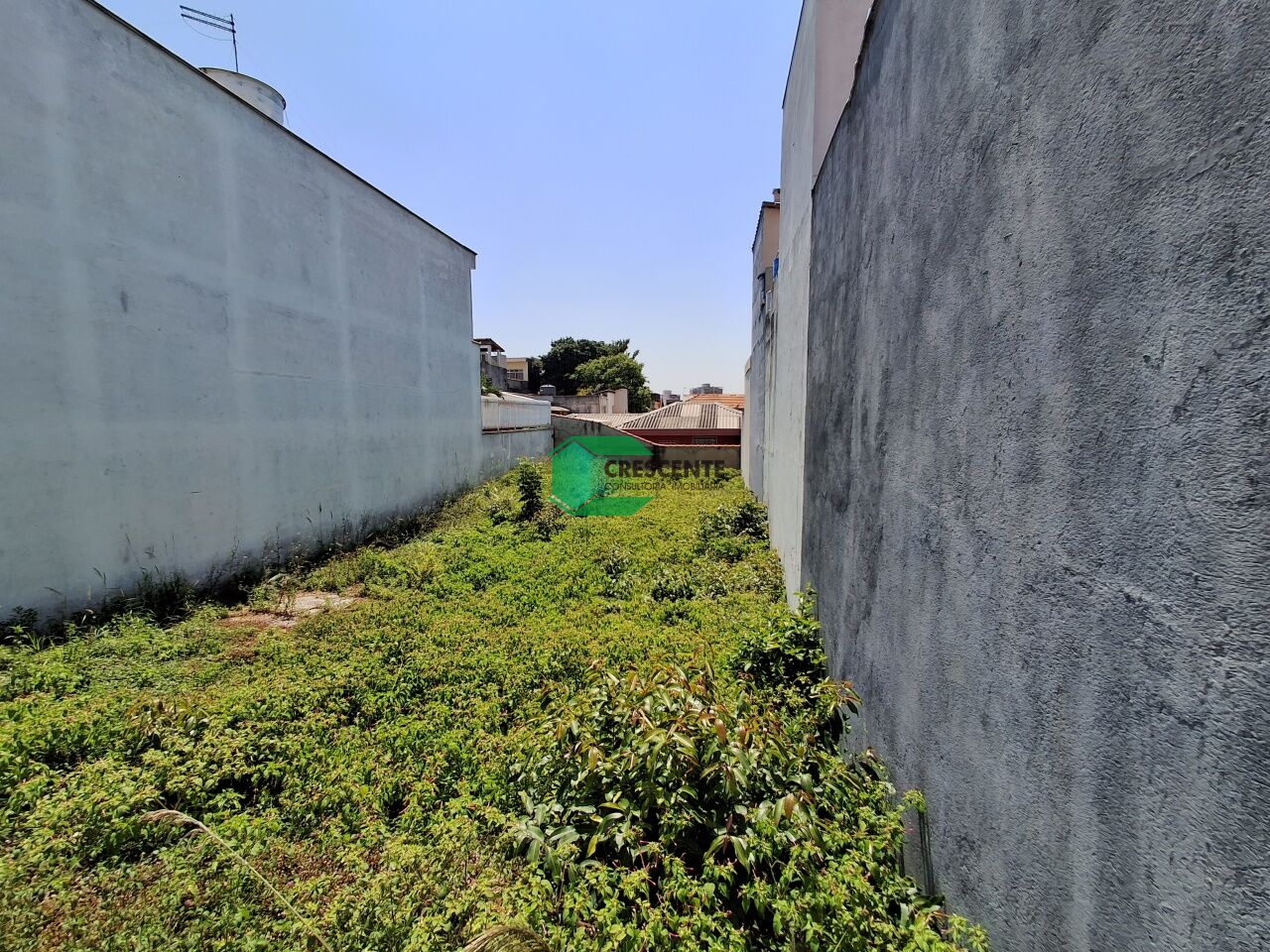 Imóvel CR3791 foto