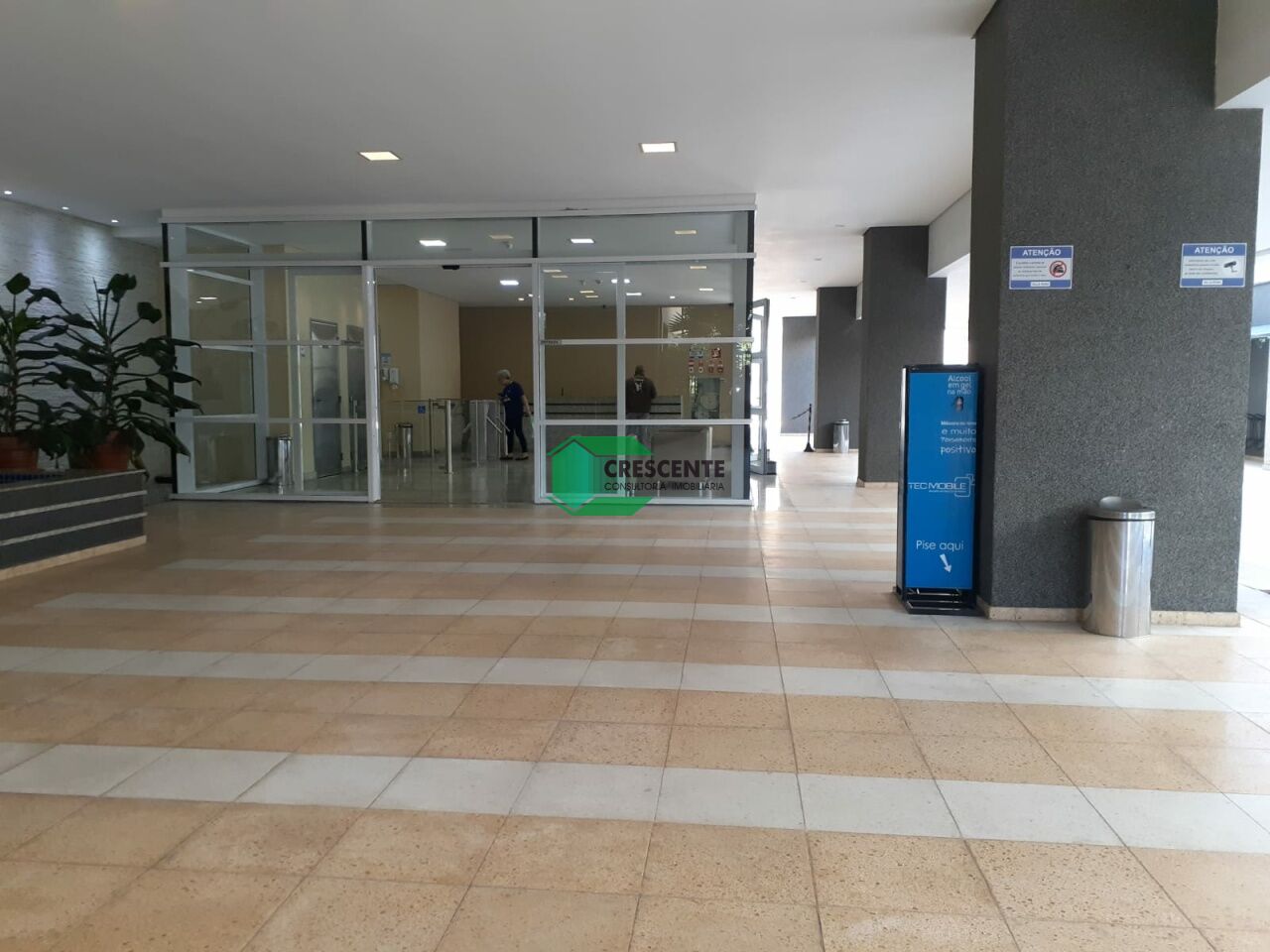 latest property