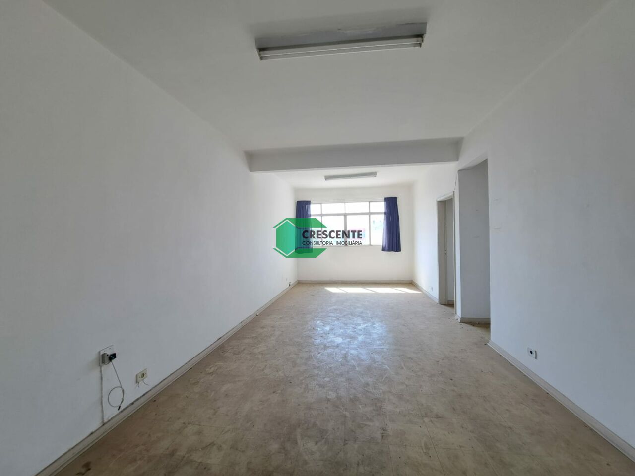 latest property
