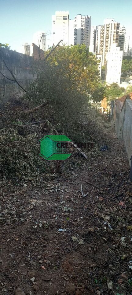 Imóvel CR4248 foto 