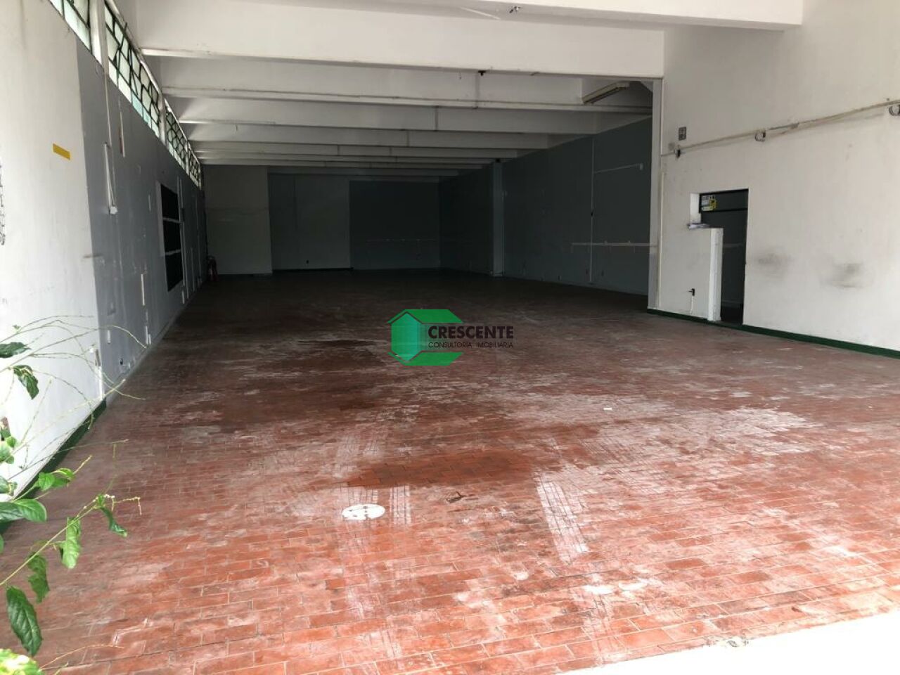 latest property