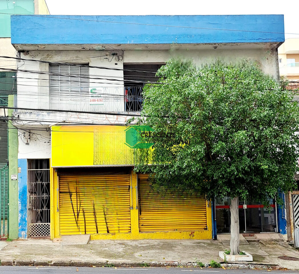 latest property