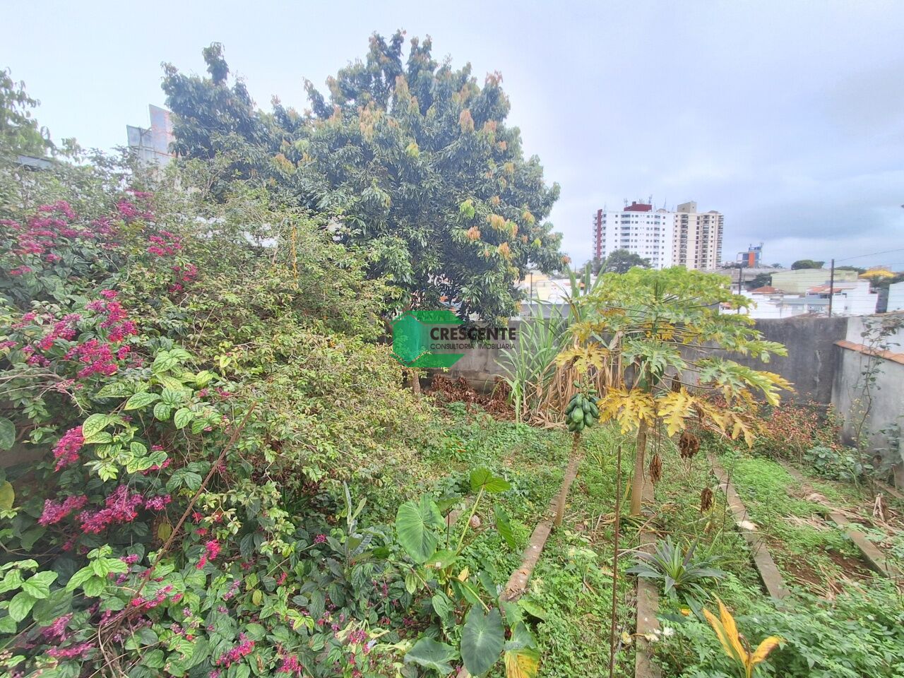Imóvel CR5272 foto 