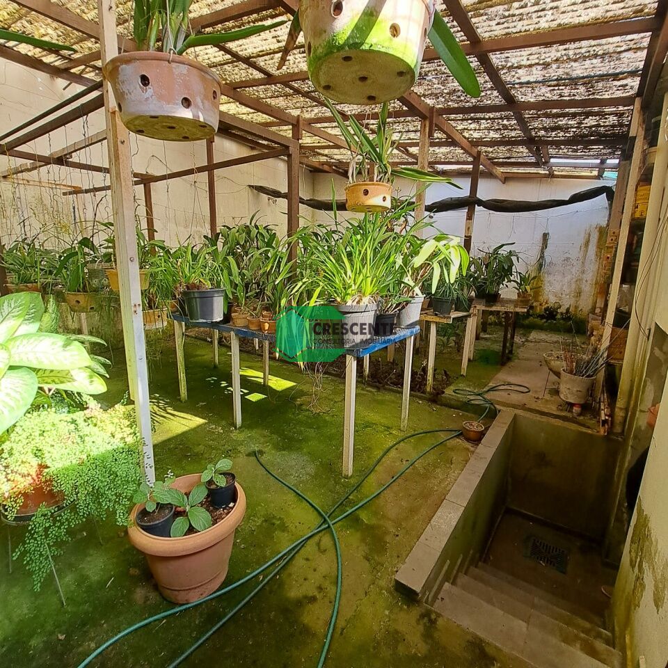 Imóvel CR5345 foto 
