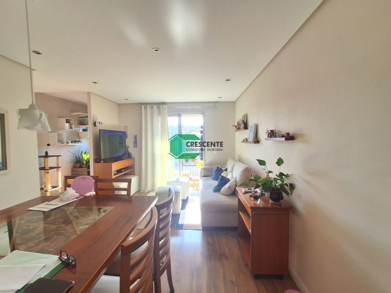 latest property