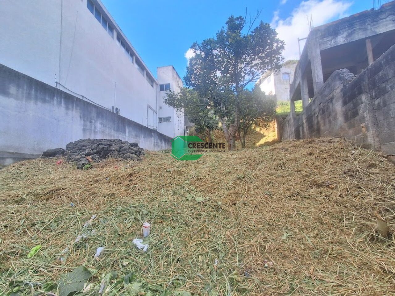 Imóvel CR5891 foto