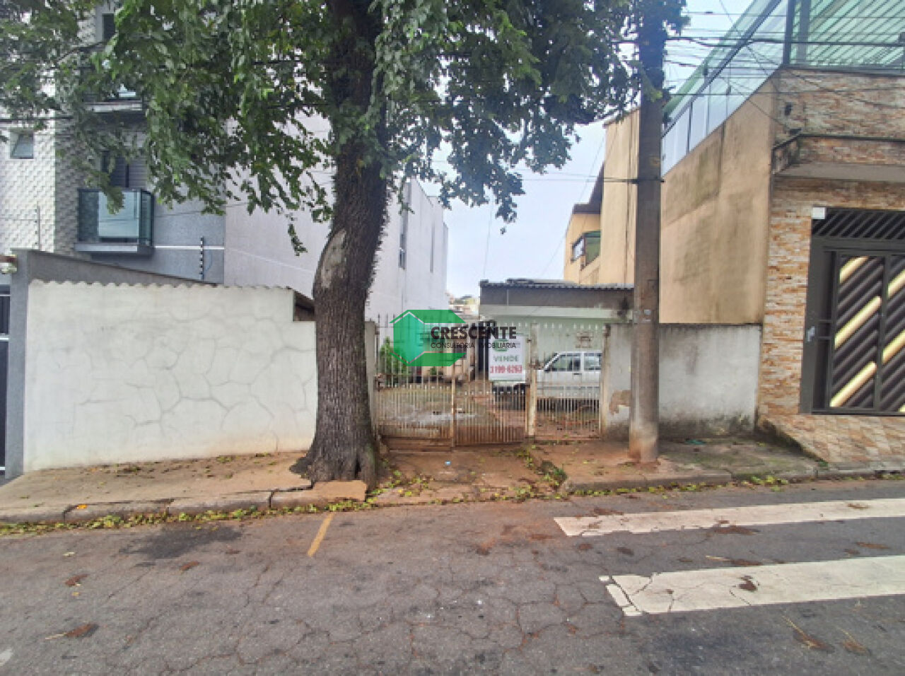latest property