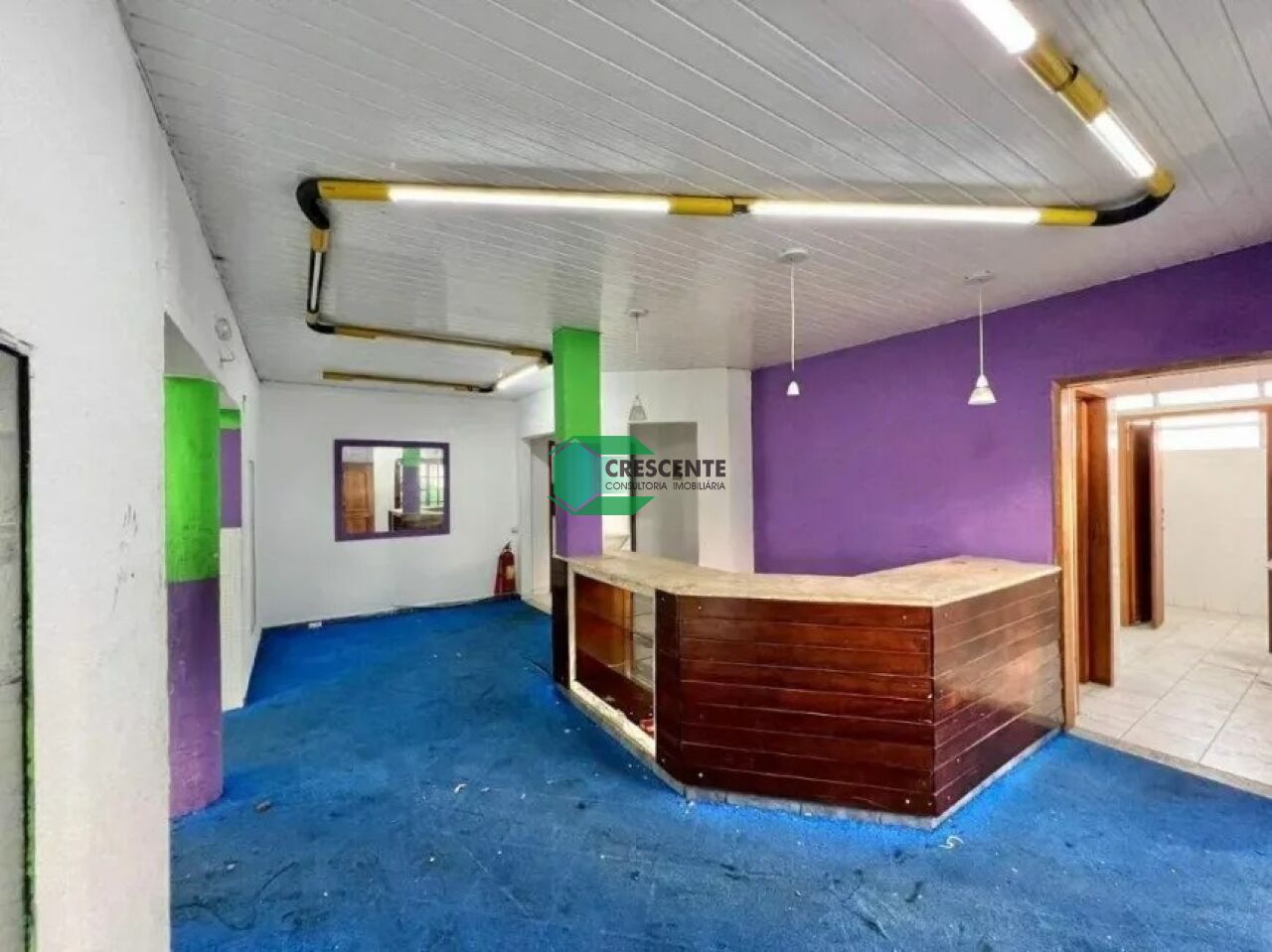 latest property