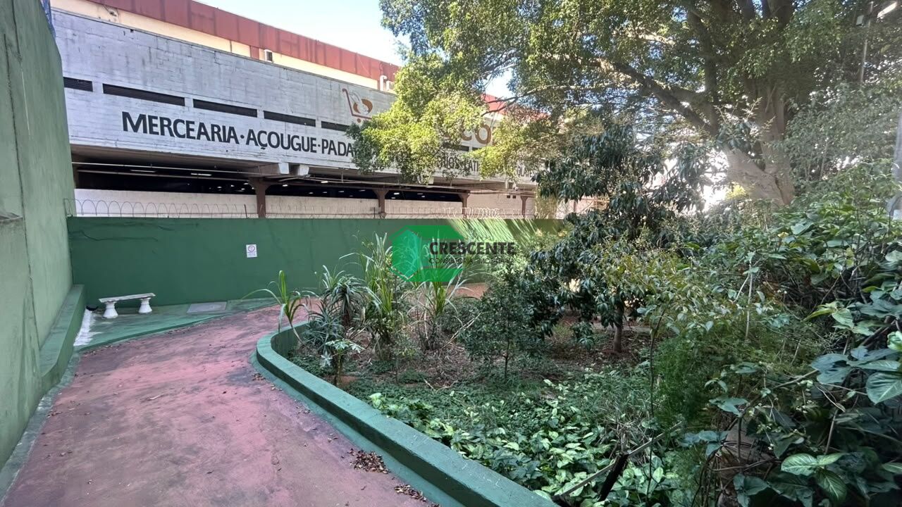 Imóvel CR6203 foto 