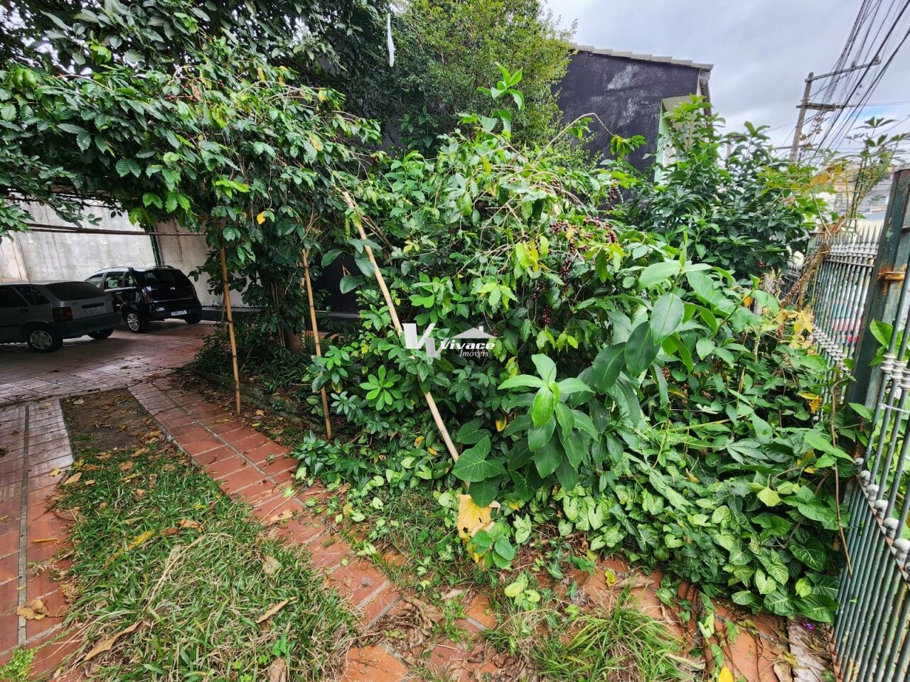 Terreno para Venda - Vila Medeiros