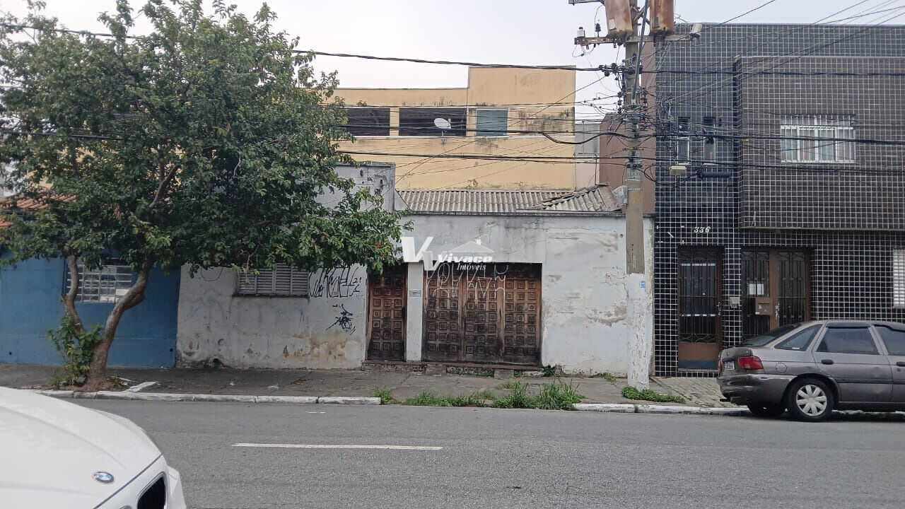 Terreno para Venda - Vila Maria