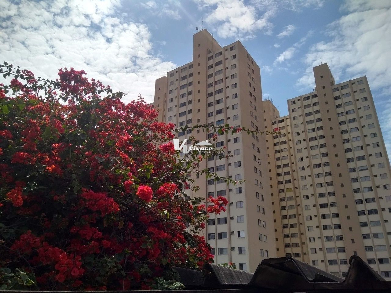 Apartamento para Venda - Vila Maria