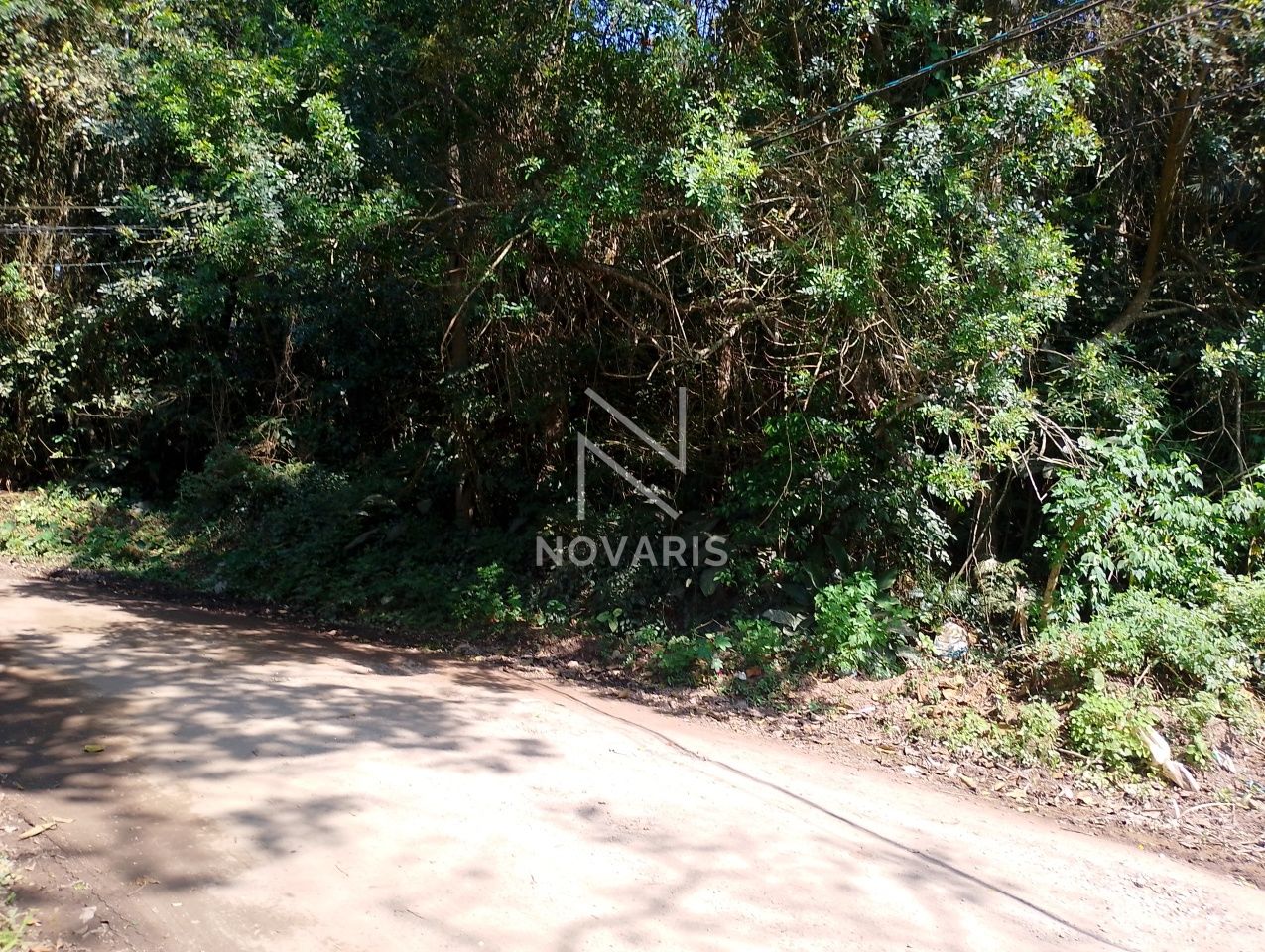 Lote / Terreno para Venda - COLÔNIA ZONA SUL