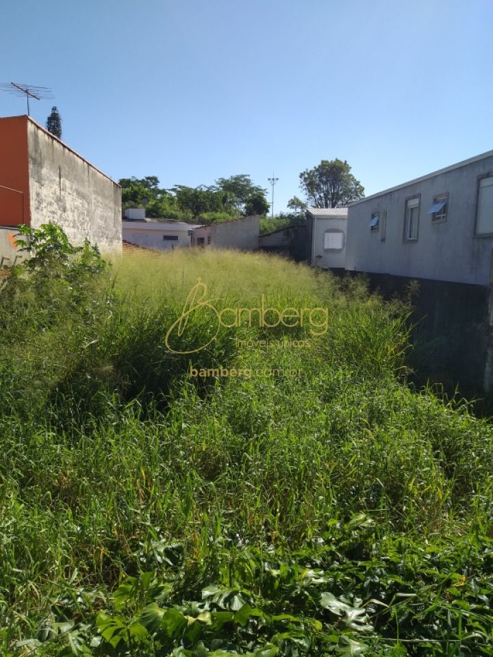 Chácara Monte Alegre / São Paulo