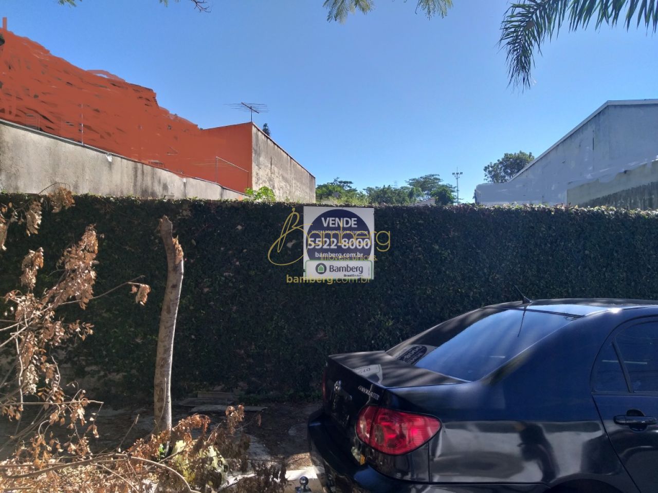 Terreno no bairro Chácara Monte Alegre - São Paulo