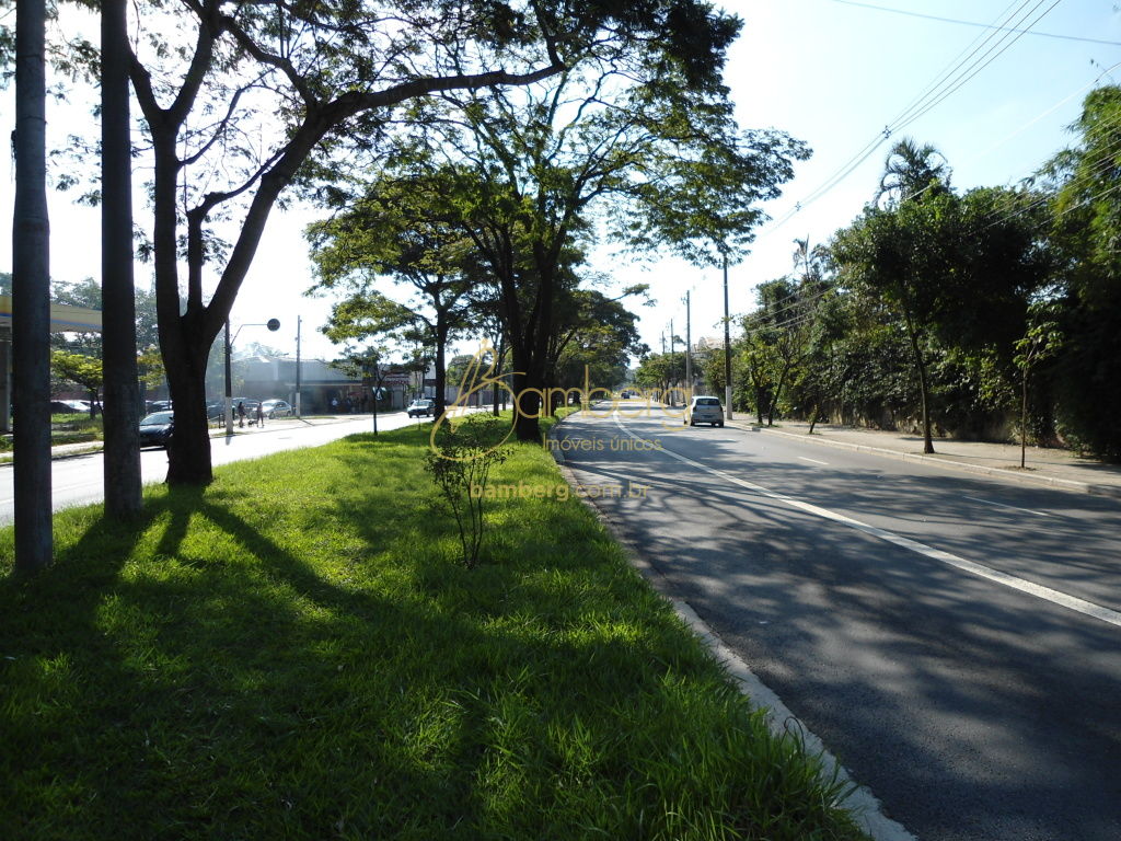 Interlagos / São Paulo