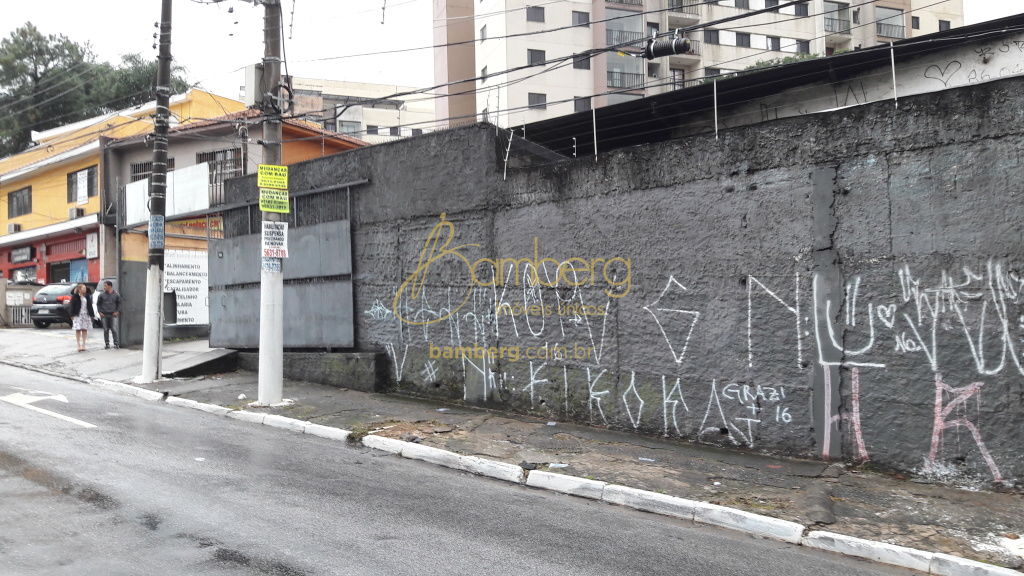 Interlagos / São Paulo