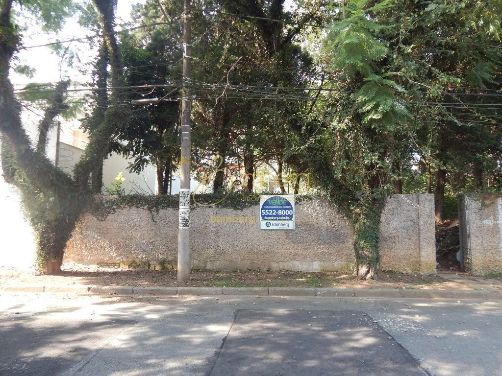 Interlagos / São Paulo