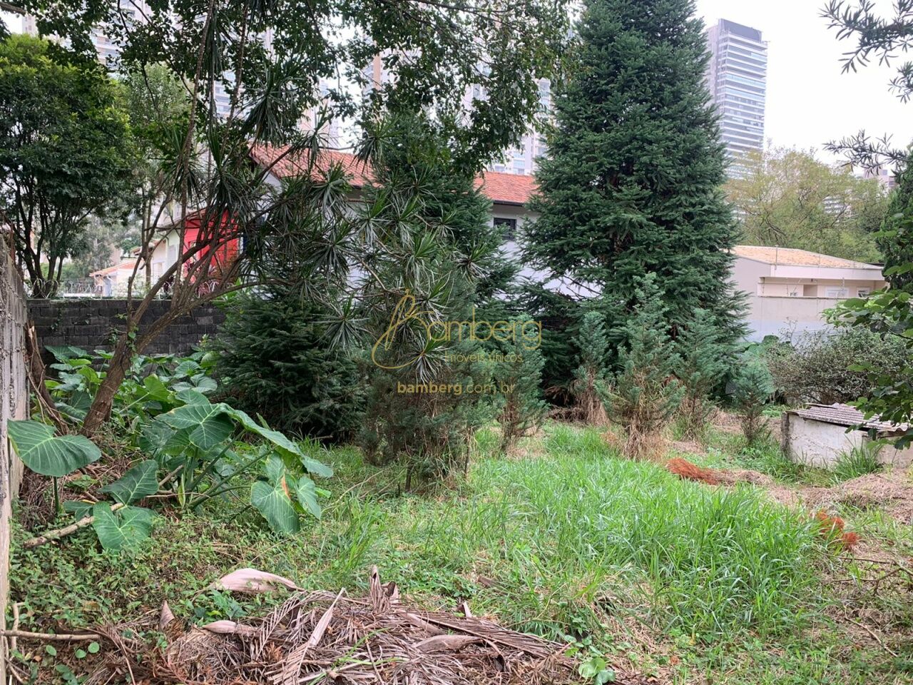 Brooklin Velho / São Paulo