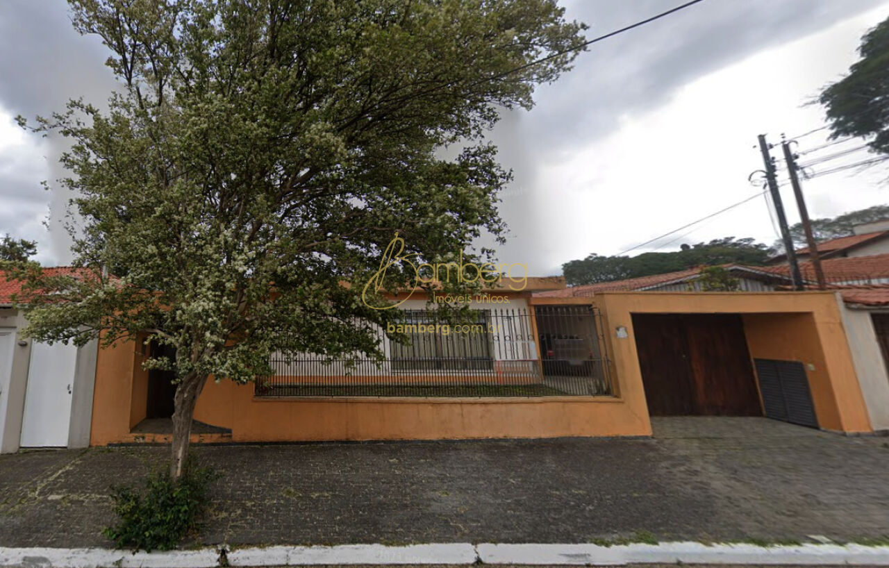 Campo Grande / São Paulo