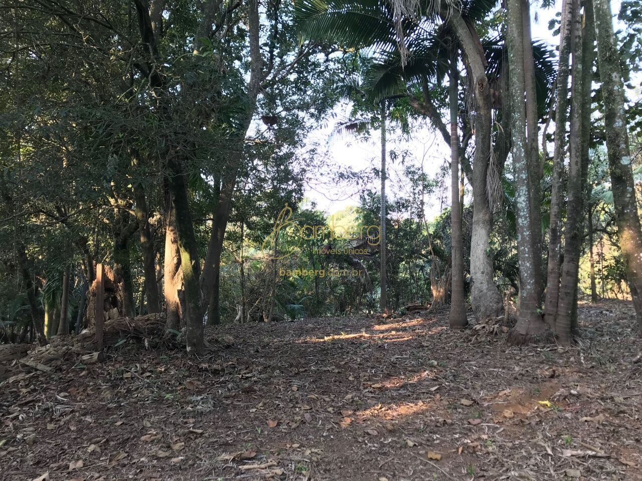 Terreno no bairro Chácara Flora - São Paulo