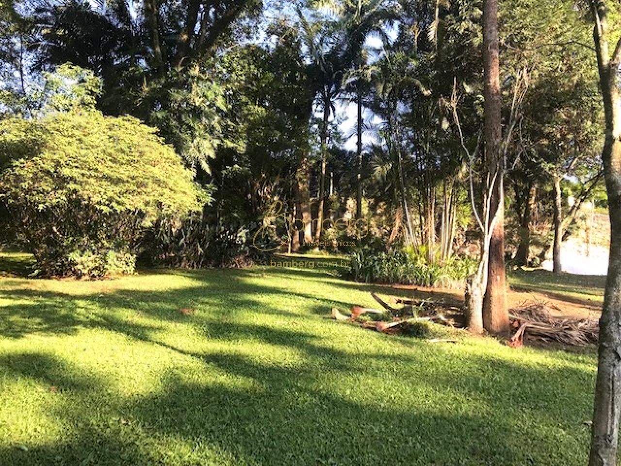 Terreno no bairro Chácara Flora - São Paulo
