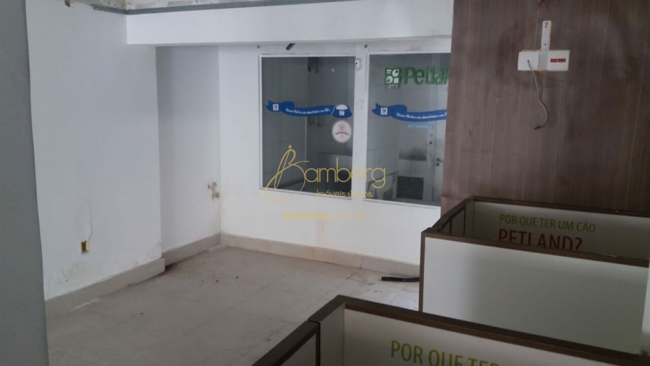 Campo Belo / São Paulo
