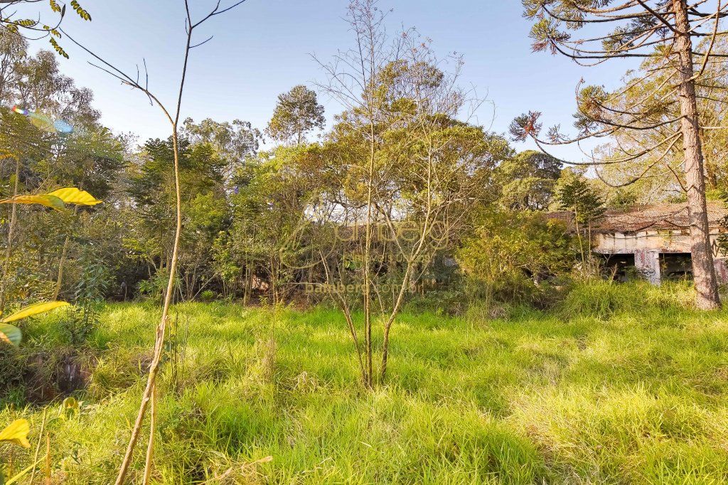 Terreno no bairro Interlagos - São Paulo