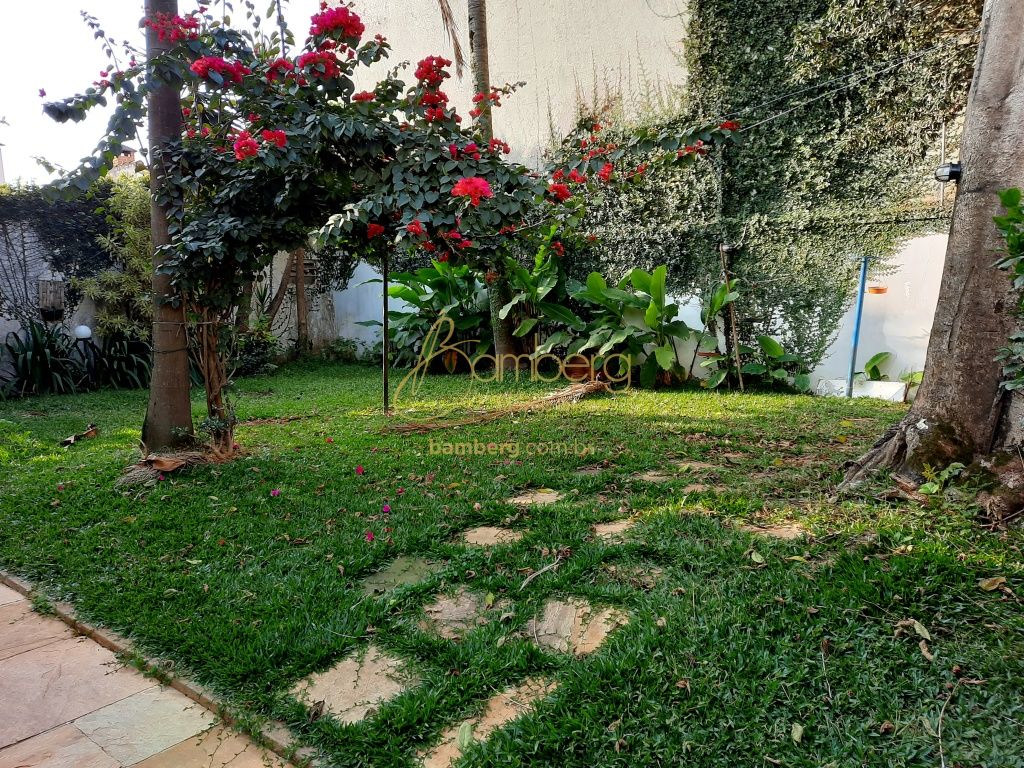 Campo Grande / São Paulo