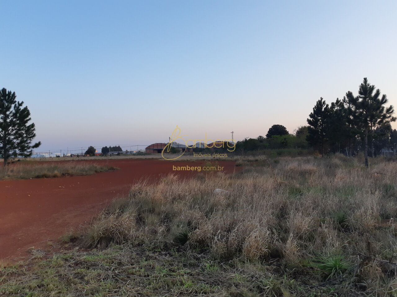Cará-Cará / Ponta Grossa