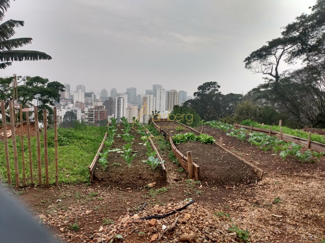 Morumbi / São Paulo