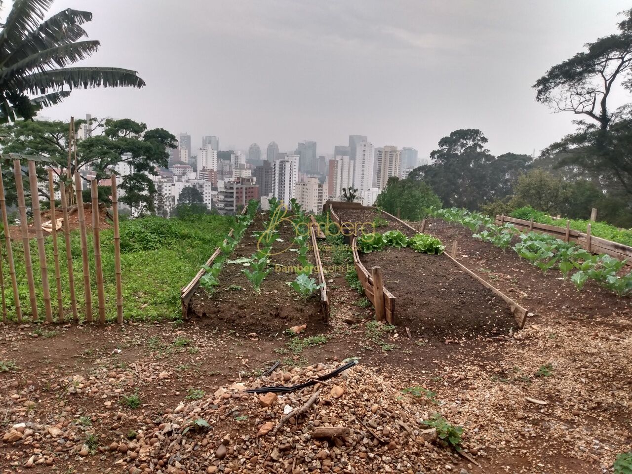 Morumbi / São Paulo