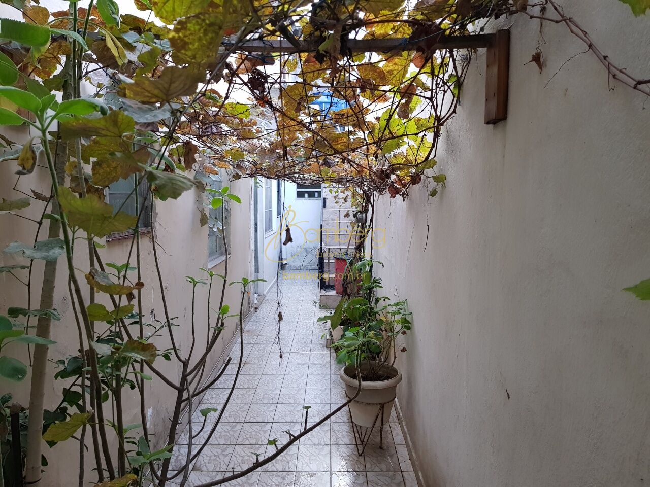 Chácara Santo Antônio  / São Paulo