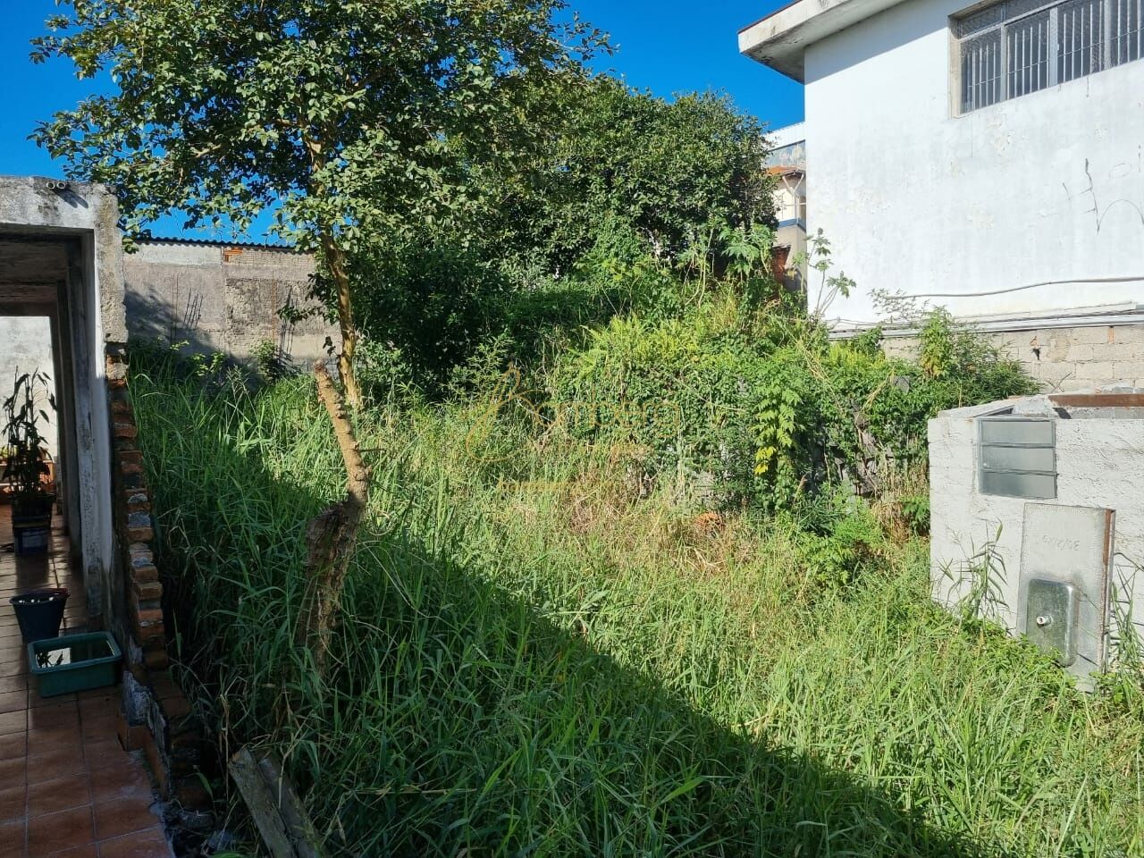 Terreno no bairro Campo Grande - São Paulo